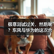 极寒测试过关,然后呢?东风与华为的这次合作不简单(图2) 极寒测试过关,然后呢?东风与华为的这次合作不简单(图2)