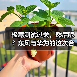 极寒测试过关，然后呢？东风与华为的这次合