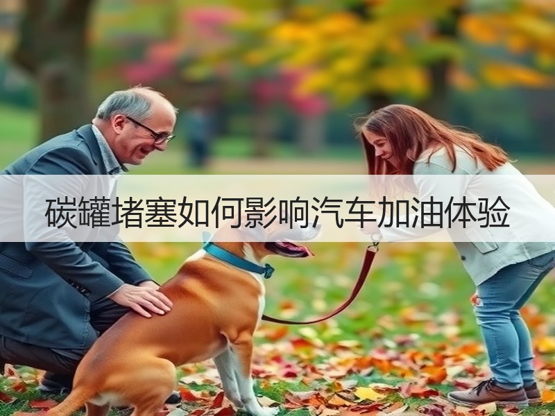 碳罐堵塞如何影响汽车加油体验