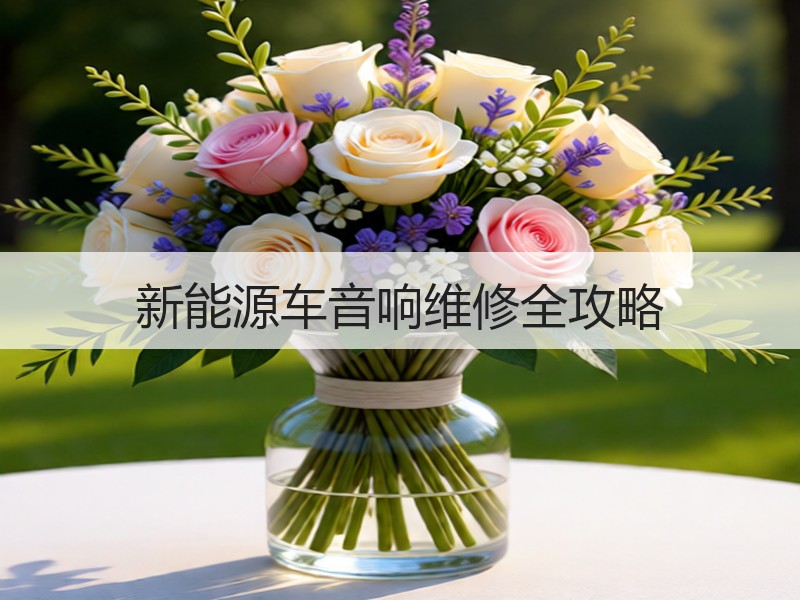 新能源车音响维修全攻略